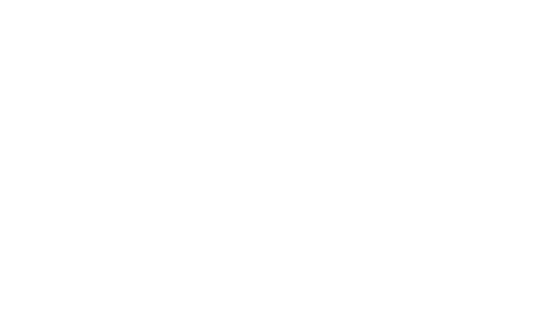 Trendyol Süper Lig